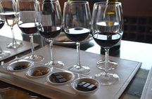 Private Tour: Undurraga Vineyard Experience with Premium Wine Tasting