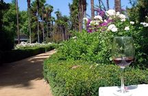 Private Tour: Undurraga Vineyard Experience with Premium Wine Tasting