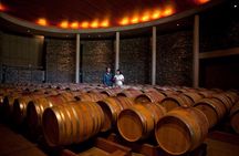 Small-Group Tour at Matetic Vineyard in Rosario Valley from Santiago