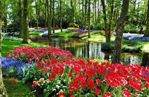 Day Trip to Keukenhof Gardens from Amsterdam with Tour Guide