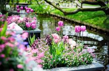 Day Trip to Keukenhof Gardens from Amsterdam with Tour Guide