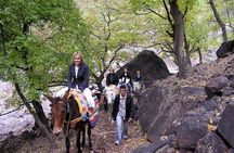 Excursion: Full Day trip to Imlil valley and Toubkal from Marrakech