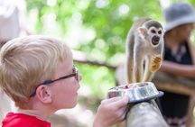 Monkeyland and Zipline Adventure from Puerto Plata