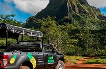 Enjoy Moorea Day Tour