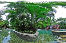 Baldi Hot Springs Day Pass with Optional Meals