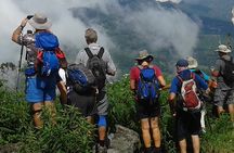 Trekking & Picnic in The Tea Plantation From Ella, Haputale & Bandarawela