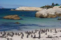 Cape Town Private Tour: Table Mountain Car & Cape Point Penguins