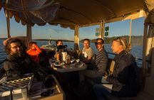 Cruise in Puumala by Lake Saimaa