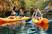 Xcaret 4-Cenotes-Guided Tour- Snacks, Lunch and Drinks included 