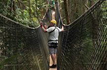 Treetop Adventure Park Canopy Tour