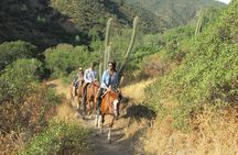 Authentic horseback ride with Chilean Cowboys in the Andes close to Santiago!