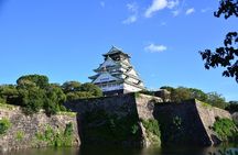 Osaka's Best and Brightest by Private Vehicle