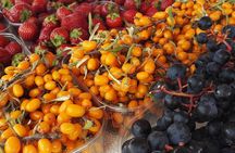 Private Taste of Helsinki and Suomenlinna