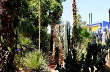 Marrakech Private Full-Day Walking Tour with Hotel Pickup and Drop-Off