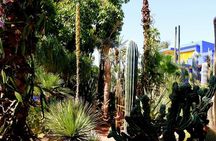 From Agadir: Private day trip to Marrakech