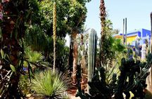 Private Full-Day Casablanca To Marrakech & camel ride