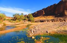 Private Full-Day Tour of Ouarzazate and Oasis Fint