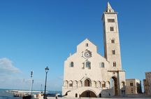 Trani Private Tour: a piece of art overlooking the Adriatic sea