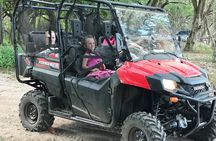 ATV and UTV Beach Tour from Tamarindo, Flamingo and Conchal Beach
