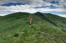 Daily jeep - hike tour to Ara Mountain
