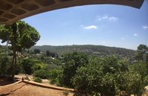 Caesarea, Carmel Mountains and Apollonia Private Tour