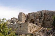 Tel Dan and Baniyas National Parks Private Tour 
