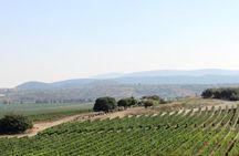 Private wine tour of Northern Israel