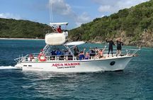Private Full Day Guided Snorkeling or Diving Charter in St Thomas