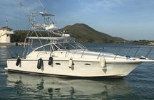 Full Day Big Game Fishing