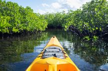 Mangrove Forest Bali Canoe Eco Tour