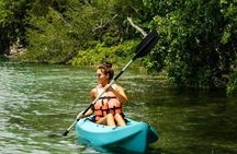 Mangrove Forest Bali Canoe Eco Tour
