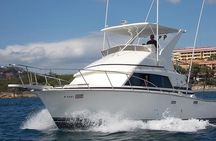 Half-full Day Sport Fishing Tour from Flamingo Beach
