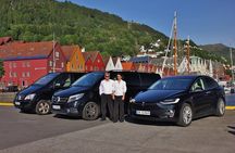 PRIVATE TOUR: Bergen city sightseeing, 3 hours
