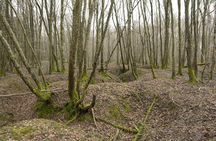 World War 1 Walk Through Trenches and Bunkers