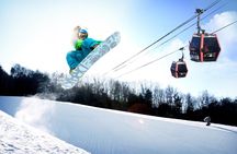 Vivaldi Park Winter Ski Resort with Nami Island Tour from Seoul
