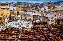 Day Tour Casablanca to Fez with Volubilis Sightseeing