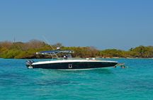 Private Boat to Rosario Islands & Barú