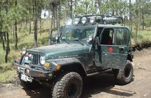 Volcano Tour to Iztaccihuatl