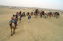 Private Full-Day City Tour of Jaisalmer visit Fort, Havelis and Camel Ride