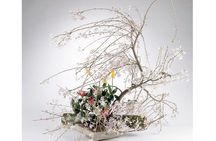 Tokyo Ikebana, Japanese Traditional Flower Arrangement Experience