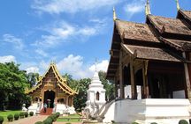 Half Day Chiang Mai City Temples & Museum Tour - Group or Private