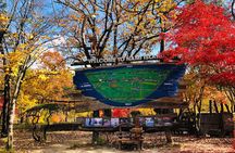 Nami Island and Petite France with The Garden of Morning Calm One Day Tour