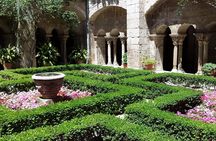 Half-Day Van Gogh Tour of Provence from Avignon