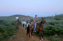 Aruba Horseback Riding Tour to Hidden Lagoon