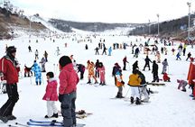 Eden Valley Resort Winter Ski Snowboard Sled Day Tour from Busan