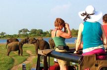 Yala Safari Tour from Hambantota Port (Shore Excursion)