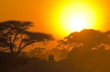 Yala Safari Tour from Hambantota Port (Shore Excursion)