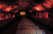 New Premium Concha y Toro Tour Includes winetasting & Transport