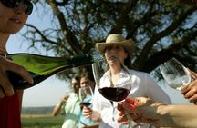 PRIVATE TOUR: Pre or Post Cruise San Antonio Port with Santiago Tour and Winery