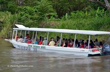 Palo Verde Wildlife Tour from Tamarindo